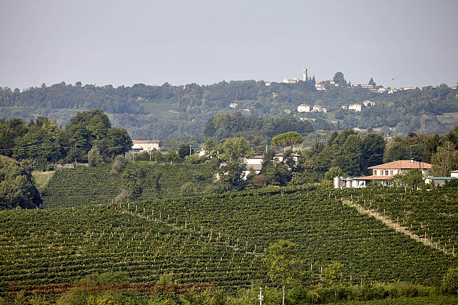 Hills, vineyards, and villages in Veneto