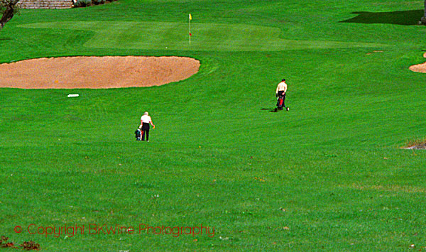 Two golfers approaching the green
