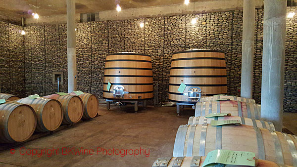 The wine cellar at Las Ninas, Chile