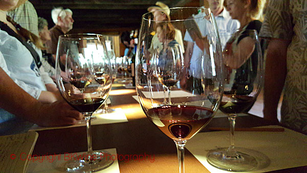 Tasting the wines at Neyen, Chile