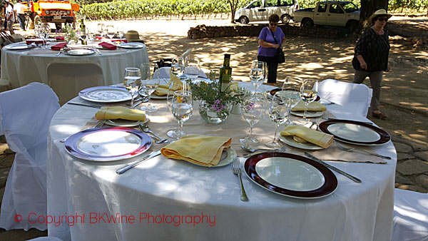 Alfresco lunch at Montgras-Ninquén, Chile