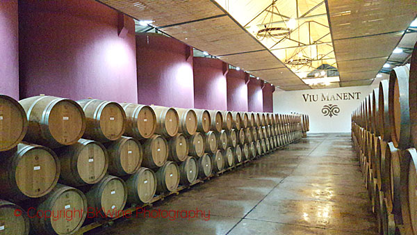 Oak barrels at Viu Manent, Chile