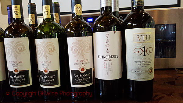 Tasting with the winemaker at Viu Manent, Chile