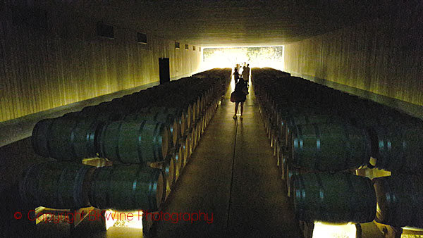 The barrel cellar at Vina Vik, Chile