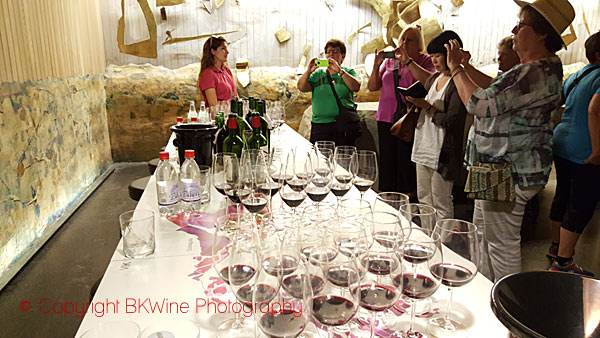 Tasting grape varieties at Vina Vik, Chile