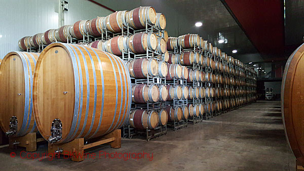 The barrel cellar at De Martino, Chile