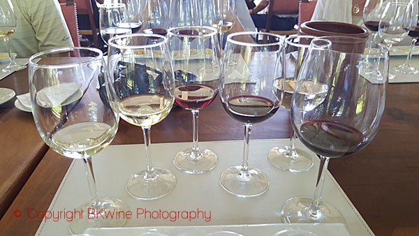 Tasting the wines at Emiliana, Chile