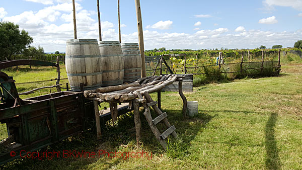 Biodynamic dynamisers at Alpamanta, Mendoza