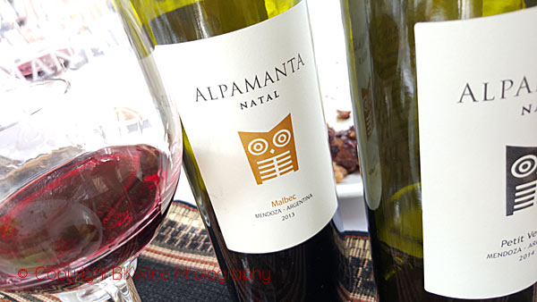 Tasting different Alpamanta wines over lunch, Mendoza