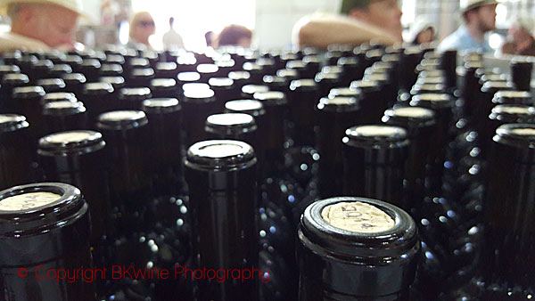 Bottling at Bodegas Mendel, Mendoza