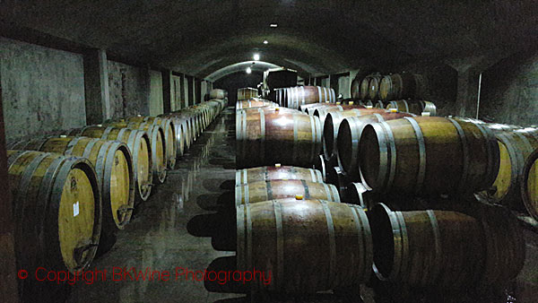 The barrel cellar at Domaine Bousquet, Mendoza