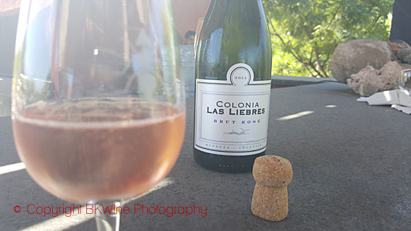 Tasting sparkling wine at Altos las Hormigas, Mendoza