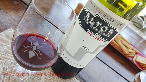 Tasting classic malbec at Altos las Hormigas, Mendoza