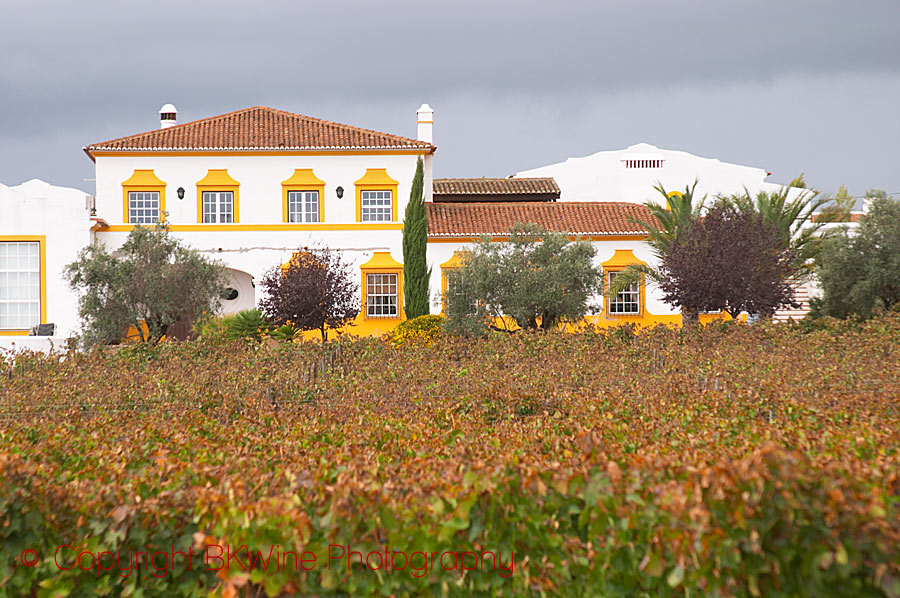 A beautiful winery in Alentejo