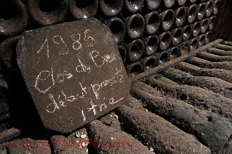 Old bottles in a wine cellar in Loire