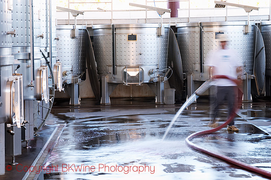 Cleaning in a modern winery, Alentejo