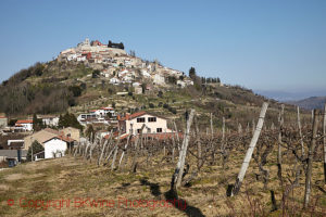 Motovun, a hilltop village with vineyards, Istria, Croatia