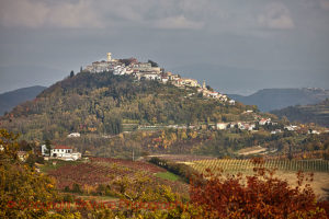 Motovun village overlooking the vineyards, Istria, Croatia
