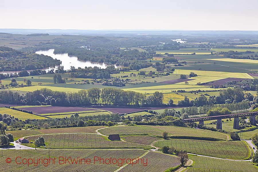 Vineyards along the Loire River