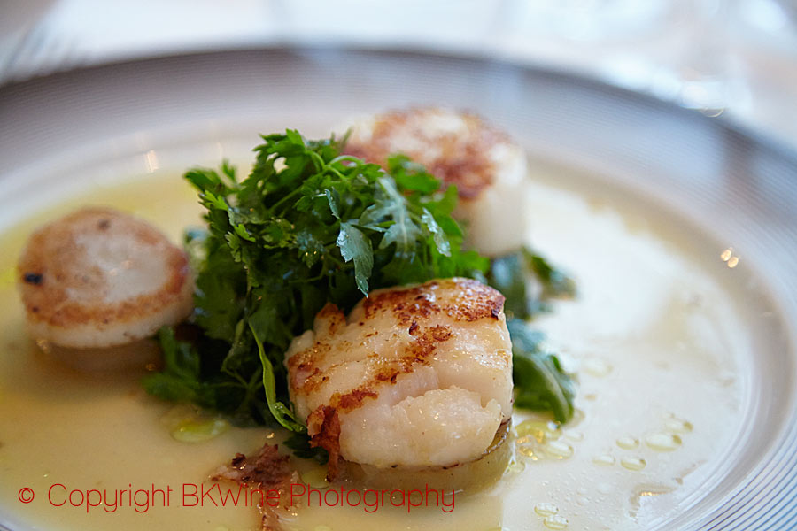 Scallops in cream sauce, Loire