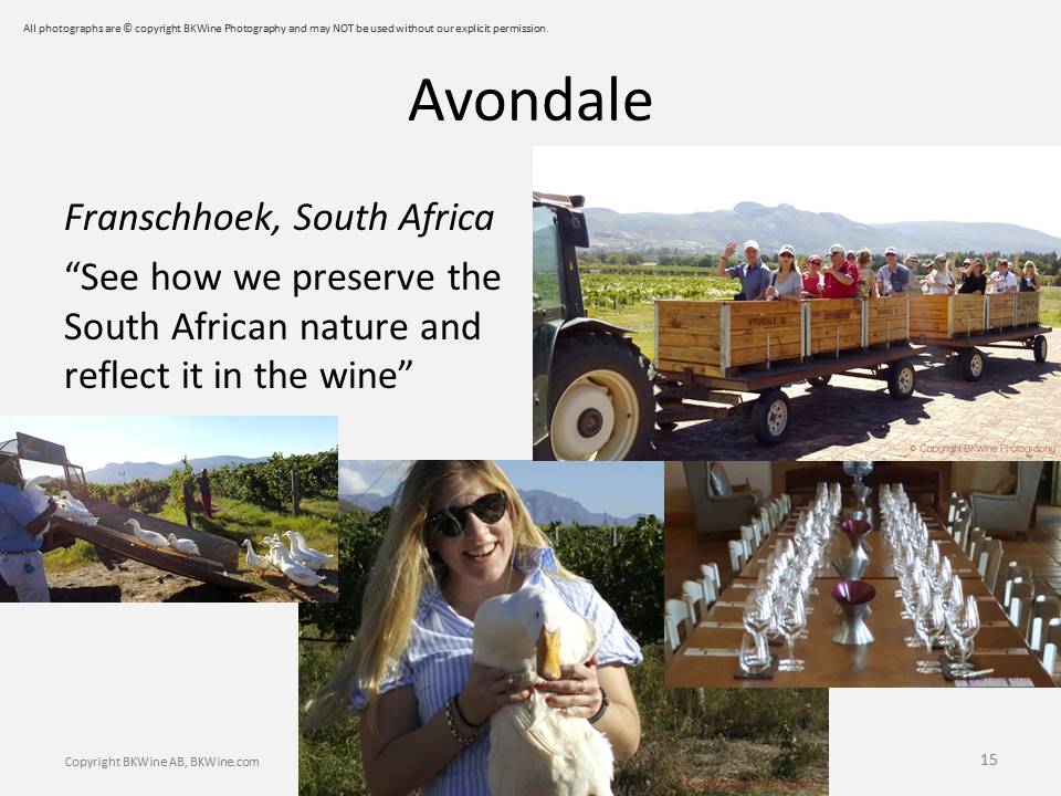 Avondale, Franschhoek, South Africa