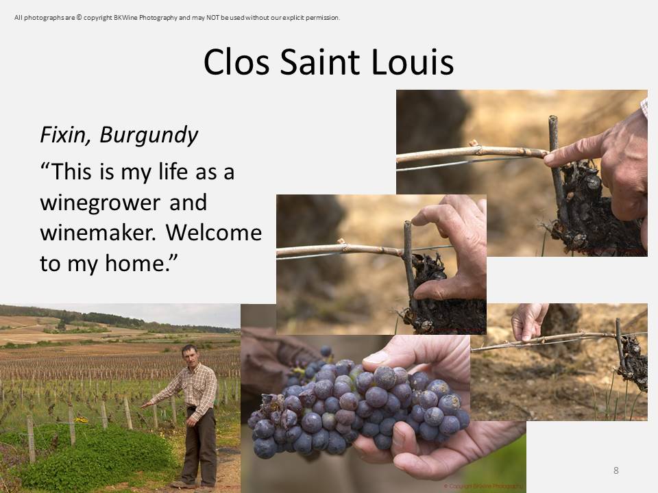 Clos Saint Louis, Fixin, Burgundy