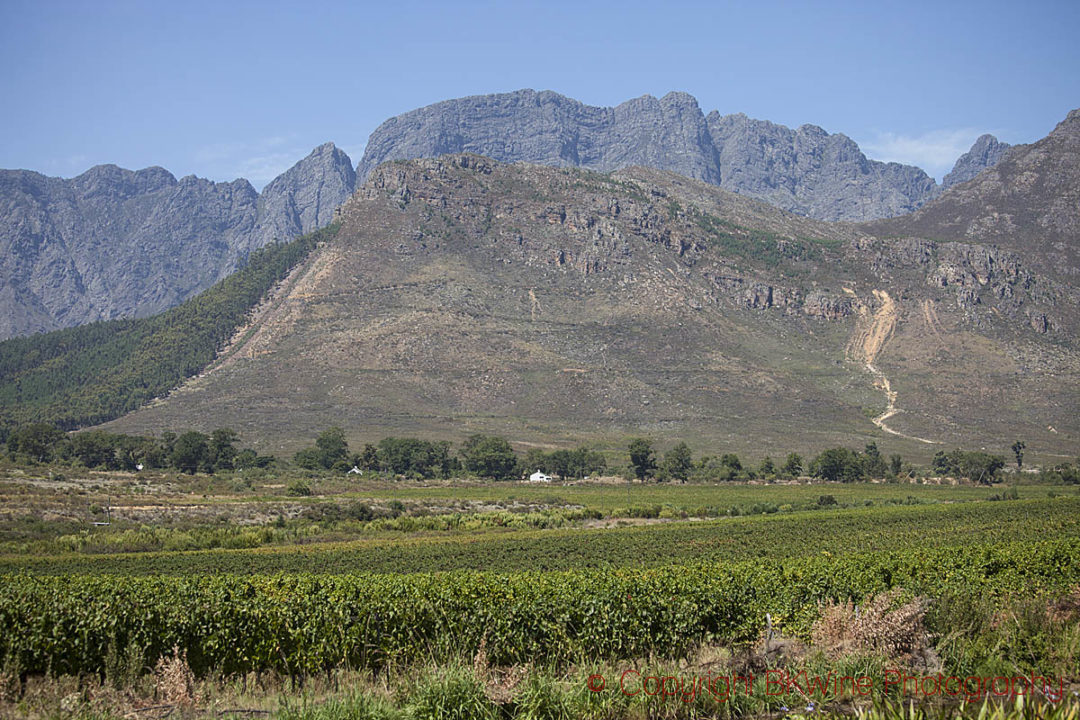 Mountains and vineyards at Glenwood Vineyards, Franschhoek