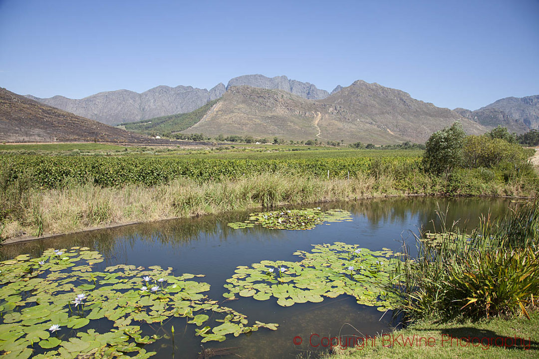 The landscape around Glenwood Vineyards, Franschhoek