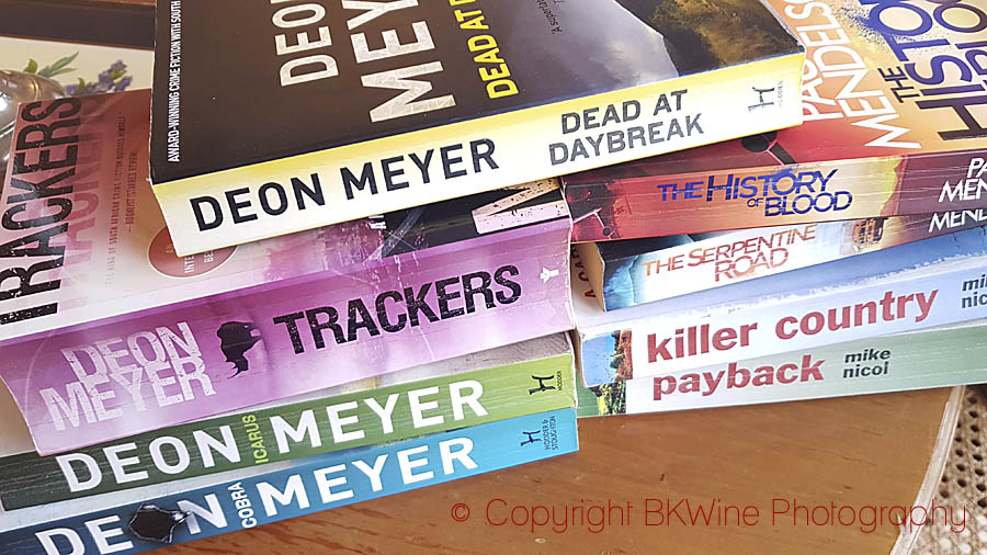 South African crime novels