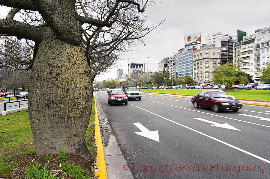 Traffic on Avenida de 9 Julio in Buenos Aires