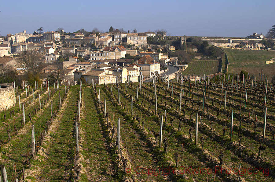 Vineyard of Chateau Ausone and Saint Emilion