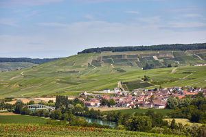 A village and vineyards in Vallee de la Marne, Champagne