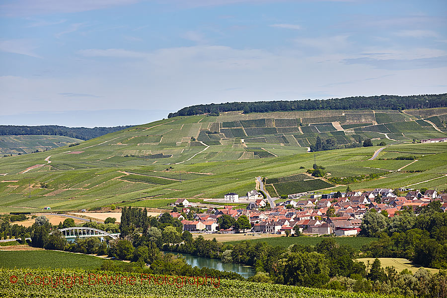 A village and vineyards in Vallee de la Marne, Champagne