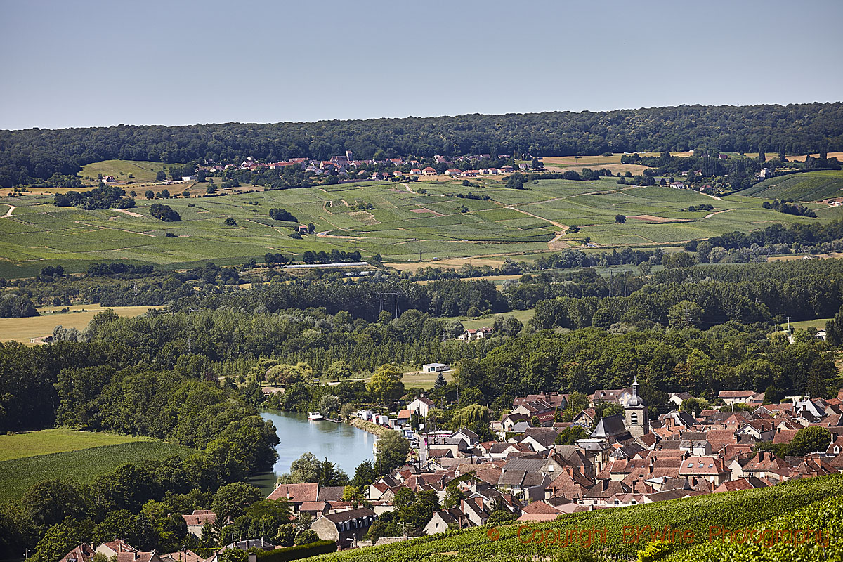 View over La Marne with vineyards and a village, Vallée de la Marne, Champagne