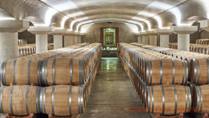 The barrel cellar, Bordeaux