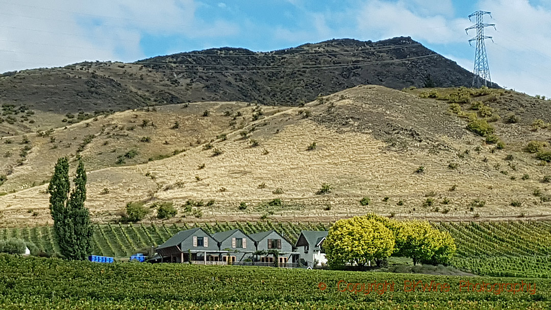 Felton Road Winery and vineyards, Central Otago, New Zealand