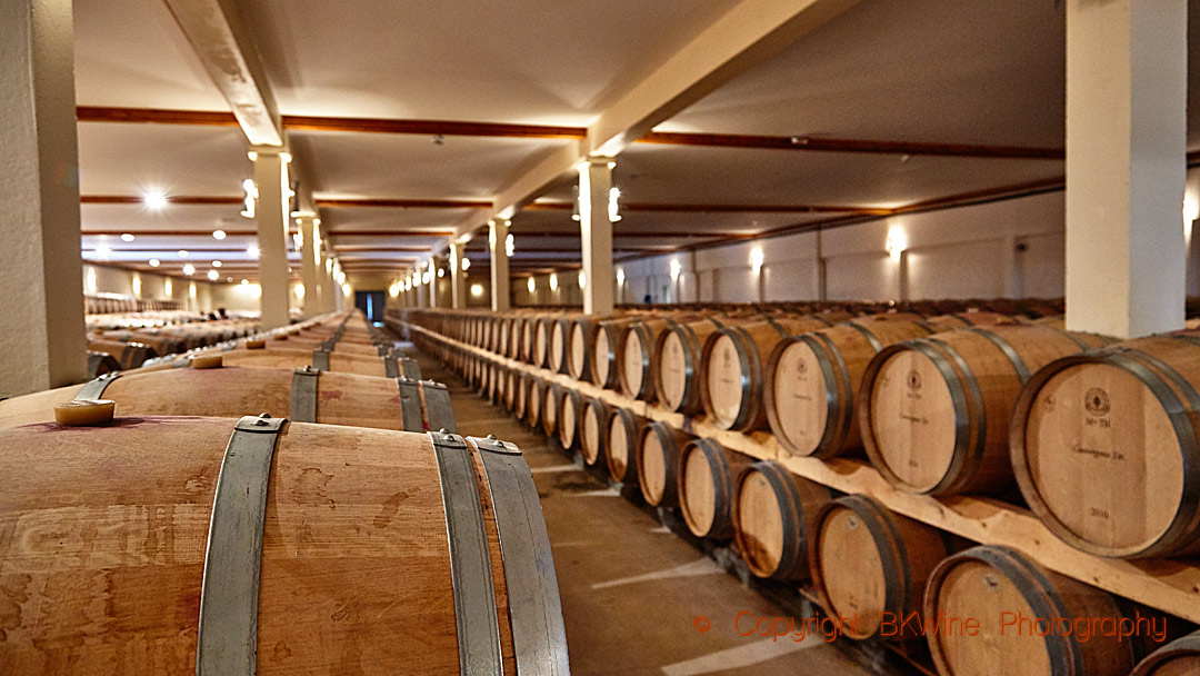 A barrel cellar in Bordeaux
