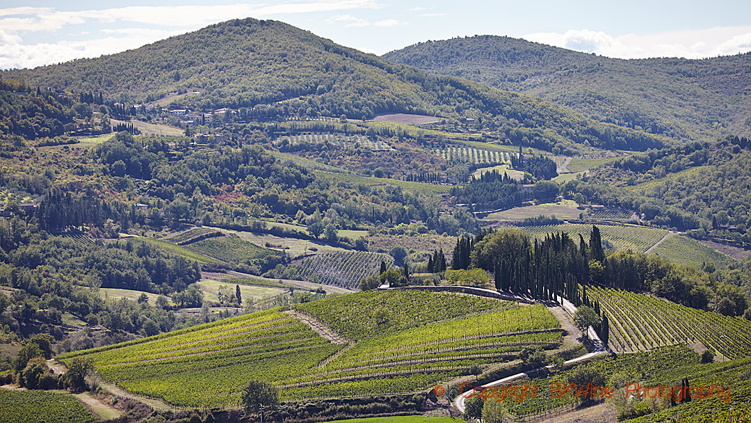 Vineyards and hills in Tuscany
