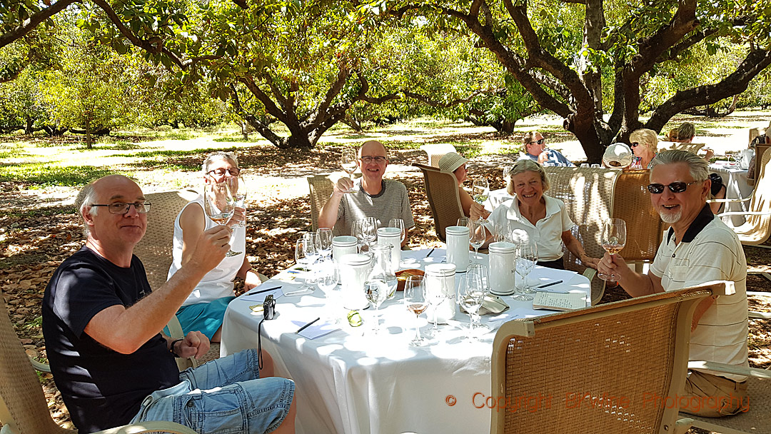 Enjoying lunch under the avocado tree in Colchagua, Chile