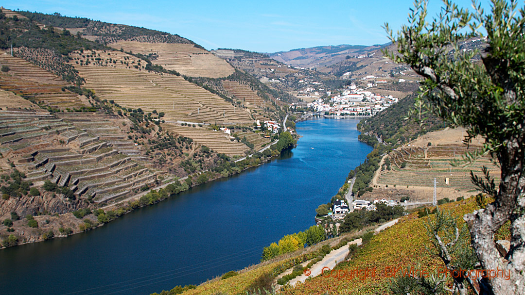 Landscape in the Douro Valley with vineyards and terraces and Pinhao