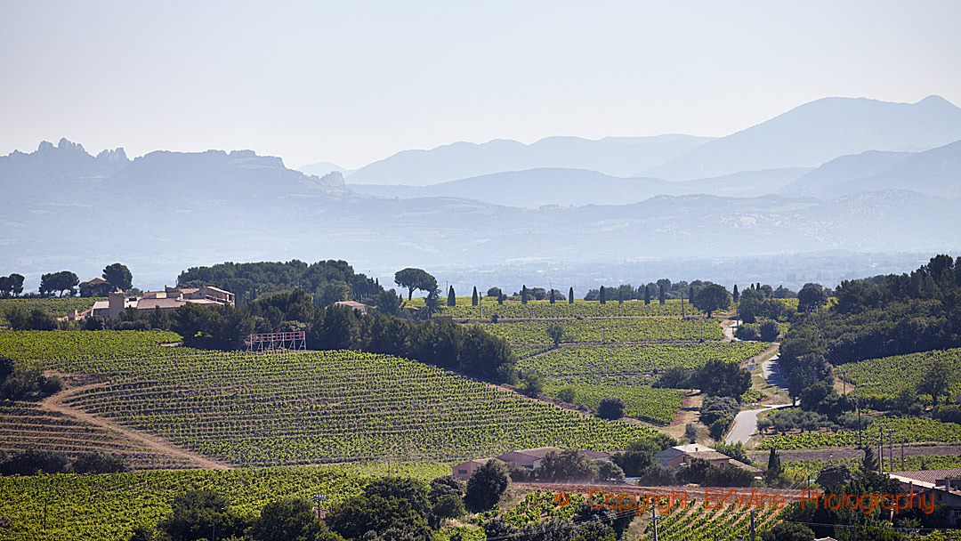 Vineyards and hills in the Rhone Valley