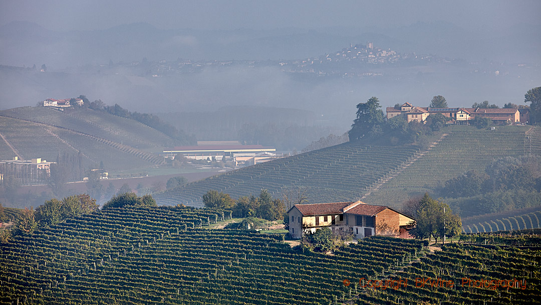 Piedmont landscape and vineyards