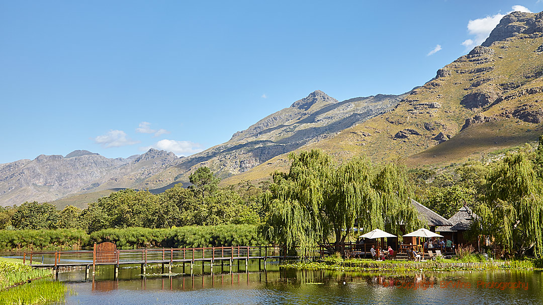 At Stark-Condé Wines, Stellenbosch, South Africa