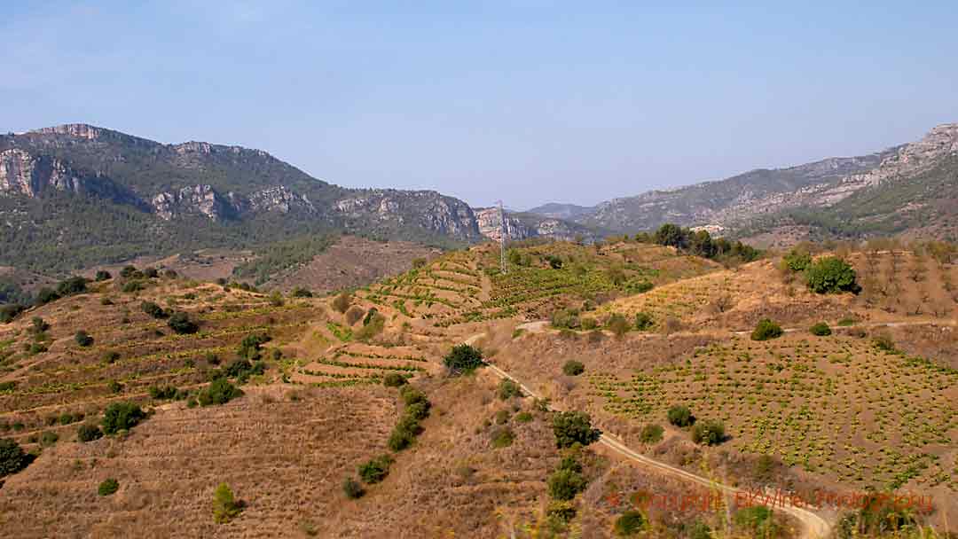 Vineyards on the steep hillsides, Priorato, Catalonia