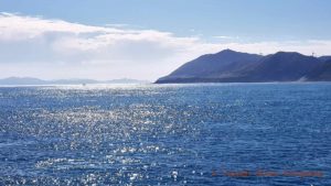 The Cook Strait crossing taking us from North Island to South Island