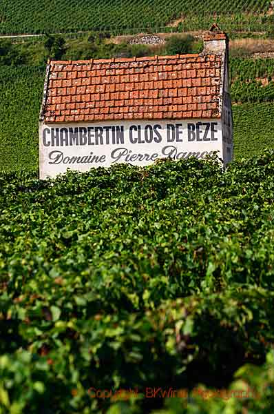 A vineyard hut in grand cru Chambertin in Burgundy