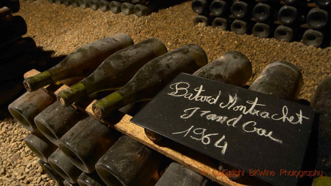 Old bottles of Batard Montrachet grand cru 1964 in Burgundy