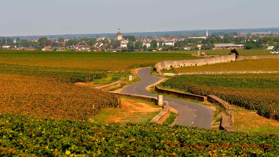A road winding through the vineyards to Beaune, Burgundy