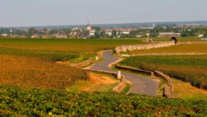A road winding through the vineyards to Beaune, Burgundy