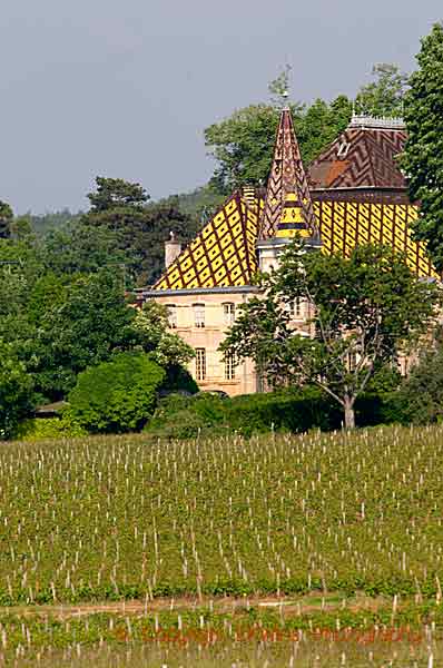 A house among the vineyard with a Burgundy roof
